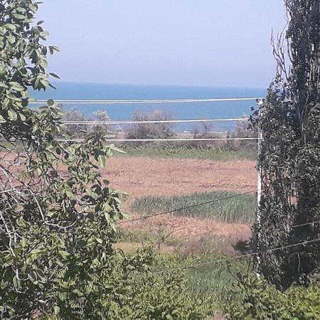Rey 2 Panzió Nabran Kültér fotó